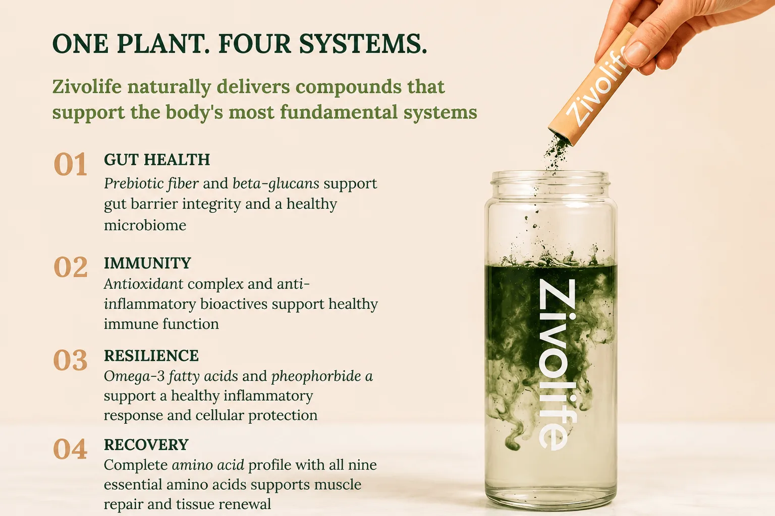 Zivolife powder being poured into water with four health benefits illustrated